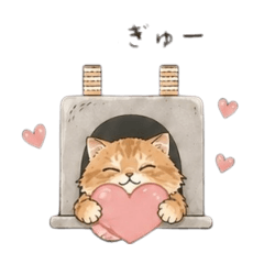 MOFU_20260430202026