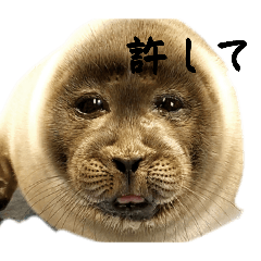 kaidesuyo_20260430202625
