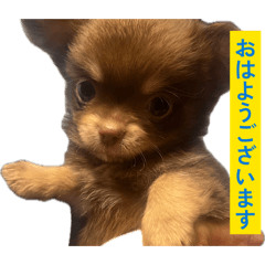 NATSU_20260430204725