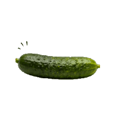 舞動蔬菜