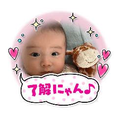 tomo_20260430205746