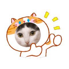 Mimilii