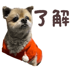 Cocoa623_20260430211528