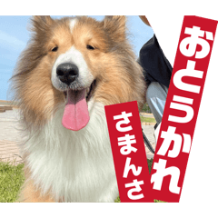 koko_20260430211518