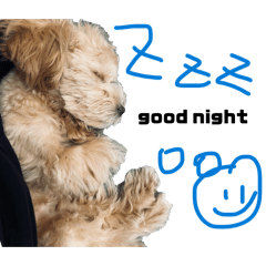 miiiii_20260430211959