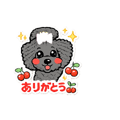 Dog salon Lotti