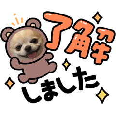 milky dogs_20260430211549