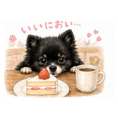 MS_20260430211727