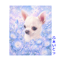 Rarami_20260430212015