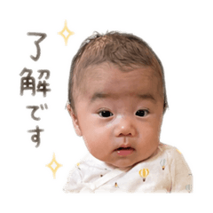 piyo_20260430212149