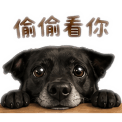 我的海苔