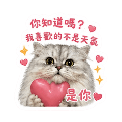 可樂是隻貓