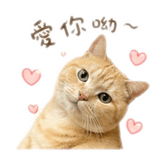 我ㄚ多啦