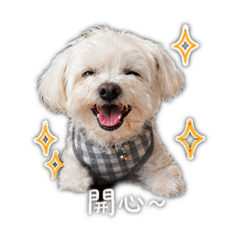 姐姐與BOSS