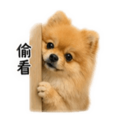 探大吉！（1）