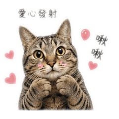 在下泡芙-2