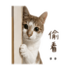 鄭咪咪