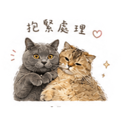 嚕卡與嚕米的甜蜜日常