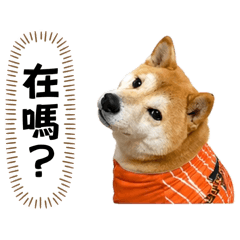 悶克力1