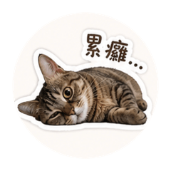 花生の貼圖!!