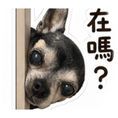 呂小吉
