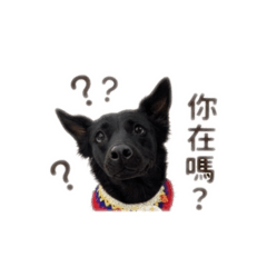 阿鮭呀