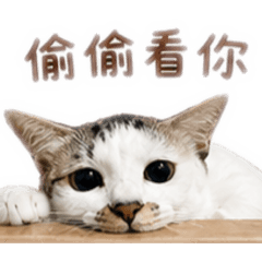 我的志明