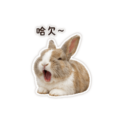 波霸奶茶の日常