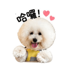 Bojiiii