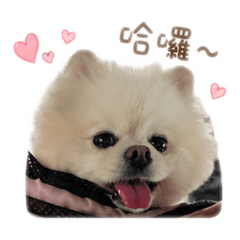Q版舒芙蕾阿拉蕾