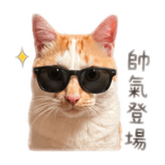 麻吉醬日常