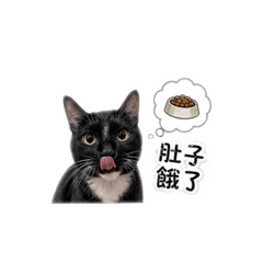炭吉ㄟ日常
