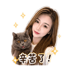 Lin xin hui