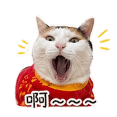 可愛何咪咪