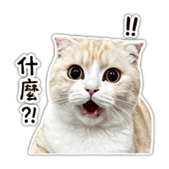 ㄚ波日誌