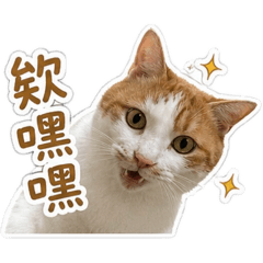 摳摳茶茶