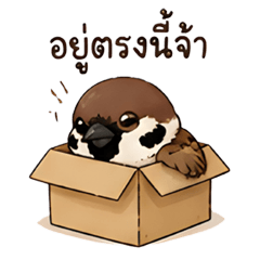 Guay Tiew : Little Sparrow's Daily Life