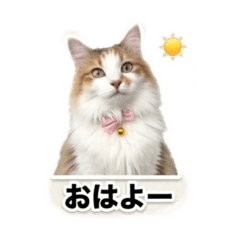 toku_20260501113903