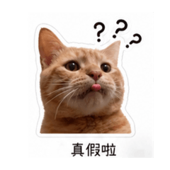 ㄐㄩˊ