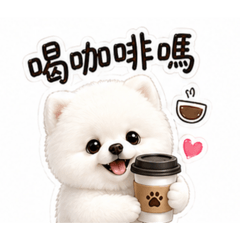 博美狗白白