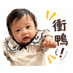 小籠包的美滋滋生活