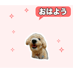 Fuku Dog Stamps
