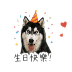 李13333