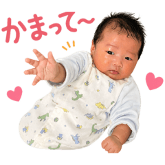 TOWA_20260430215237