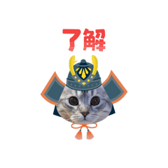 rito_2026