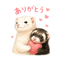 ontan_20260430220043