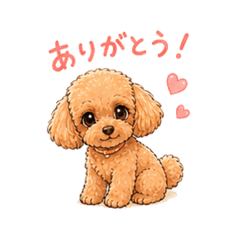 Megumi.momo_20260430215910