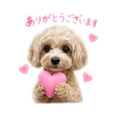 EmMe_20260501135559