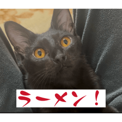 miita_20260430215831