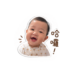 小藺寶寶